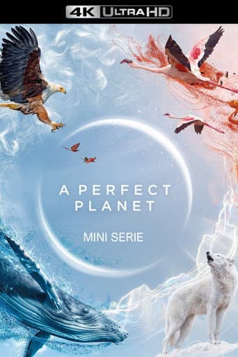 A Perfect Planet
